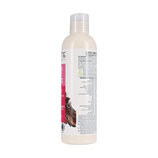 Уцінка! Шампунь Sante Glossy Shine Shampoo для блиску волосся, з протеїновим комплексом та березовим листям, 250 мл