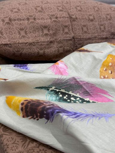 Комплект постельного белья Ecotton двухспальный Семейный 150х215 см Перья коричневый (20094АВ) (923161)