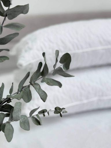 Подушка Ecotton 50х70 см антиалергенная двойная с чехлом наволочкой на молнии белая White (925105)