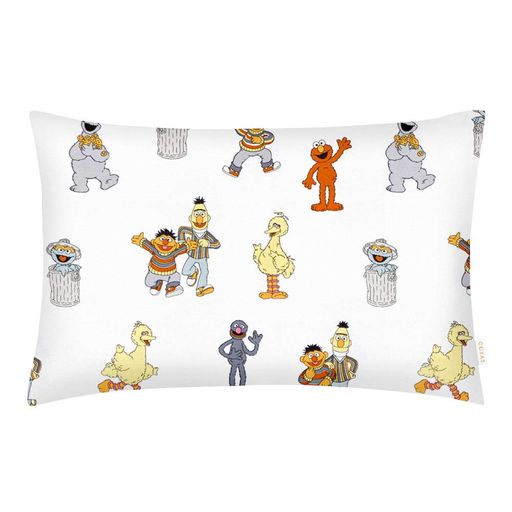 Набір наволочок на подушку 40х60 SESAME STREET COSAS (4822052225394) (940647)