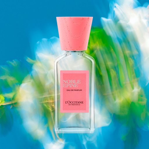L'Occitane en Provence Noble Epine Парфумована вода унісекс, 50 мл