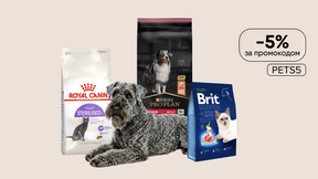ВИГІДНИЙ ЗАПАС -5% на великі упаковки зоотоварів за промокодом PETS5