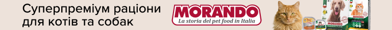 Top Banner