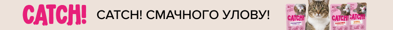 Top Banner