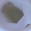 10bf9f7d30ad6966dd55551e8d2e1cf0ed22207a.jpeg