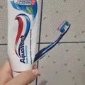300e77c843bcb6adfb2a3f7da0440a541fe763d4.jpg