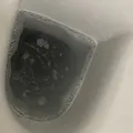 3b6ad2b886b6c08997fdb10b70e40eea740359ac.jpeg
