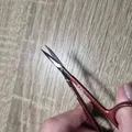 3c05311cb88d2b3246c0b8ae05089389f5f6578c.jpeg