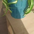 3d2bb03e1f133707ccfd4cc69c8562bddf153fb9.jpg