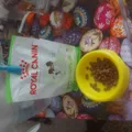 4e5c50836863ad3ec7a37b7a45842d87c25586ea.jpeg