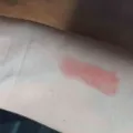 4ef6faf7b8ba218ab44aedfbecb7d08000e4b916.jpeg
