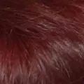 543b7c138538cecf87489eb0a1a564d75d78fb48.jpeg