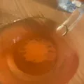 55225b2defe8273753fcffe4e78cb335726beead.jpeg