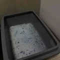 6eea4cc557e402189f271ea2c29f0c0781ab89f3.jpeg