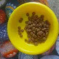 7b5b7f1725be642cbb2019fd3aae04fc1248c69b.jpeg