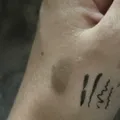 85c4cbe8df5d9532604d8bb50b9fa1c7bced5891.jpeg