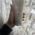 bf6850d7ad55c959c2cc2efcab6eb68089a3198c.jpeg