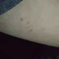 d05707e09f92c157dc8d8dd37ac2dbc3c1f91607.jpeg