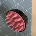 d2bba6e8574bced4ff1374d5ec1dbd556153e3d4.jpeg