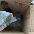 e069ec27c40e4067ca9269594f8f148ebfe1bfed.jpeg