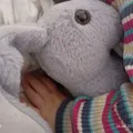 ee630103754750e535db11e6f00a397c1ac9a1c8.jpg