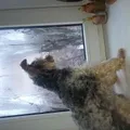 eeace6c01566c67f8fe2177568ae75c7800435da.jpeg