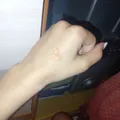 ef38e8a68c30235050d456fd8a99c4aff1750c76.jpeg