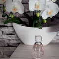 f32cafd13ba8efd5ab8ec0d6f3b6a0f19a617040.jpeg