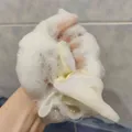 f780e28a0f1512643eff6b98657fdd3ba27e79ea.jpeg