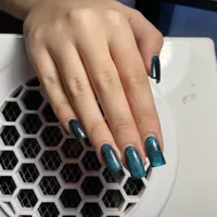 06c0f99019f16599f3734957c3cff45739b3023d.jpeg