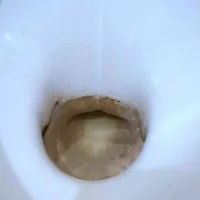 0c9c581c1d250d2f52808567c8adc98759c3c824.jpeg