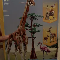0e741c66c8104702b7e2fd1ba21b4e8ee4cb366f.jpeg