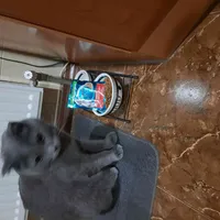 2fa8bf9c27ecf03fc469c0ba7584de1947bb679c.jpeg