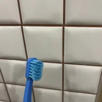 43aedd5e50f333a15ef24e9c19921a6fd1d6e996.jpeg