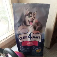 444e1c23954a116f9ecd68bd636f3e0f70b4d0ef.jpeg