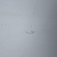 4c72868aee5a1c655a5535d7e59515db16fec2e4.jpeg