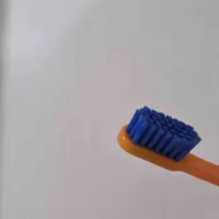 71de50444d611e6aedcb4683f6828bbda3f11e94.jpeg