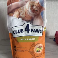 8002ab5b018e1ccc410dda3a4d838ef829f3185e.jpeg