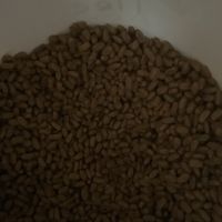 8ce6e9cb4c8ee6f5fde4fdbcc8b50c6c54c662b9.jpeg