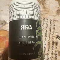8e170529e82b3f2f82e3041992d7c02a57977117.jpeg