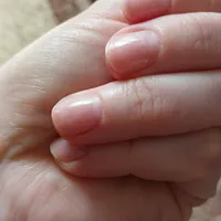 9e66ab66aa94868c9ebfde9df8a911f33f2c8c27.jpg