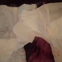 a239835eb75caa0e36277af33abfd003d2f10dc1.jpeg