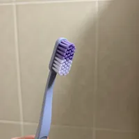 c5d5a7a45bdca33d4bc55f9d19578f73997bf277.jpeg