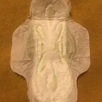 c6c631e22b32ec3f8d4b62cbe283e18ced8c0a7c.jpeg