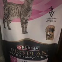 d0069b49080fc03553dfe89dfe9789269137890c.jpeg