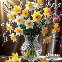 f00e8eb3f175ec34effa73f5a592b0d8923fa267.png